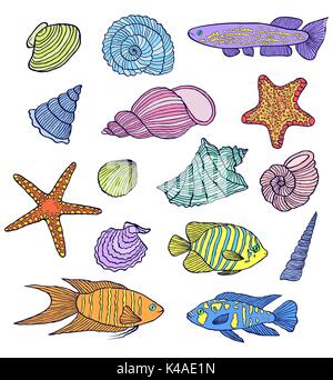Bunte Muscheln und Fische Stock Vektor