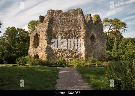 Odiham Castle, Hampshire, UK. Auch als King John's Castle bekannt, es wurde im Jahre 1207 erbaut. King John soll hier vor der Unterzeichnung der Magna Carta geblieben. Stockfoto