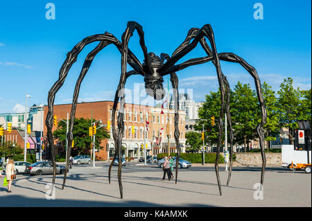 Die Maman Statue, eine riesige Spinne, Ottawa, Ontario, Kanada Stockfoto
