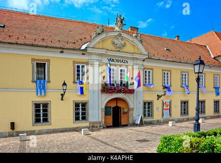 Rathaus von Vac Stockfoto