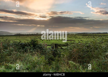 Marwood, Teesdale, County Durham, UK. 6. September 2017. UK Wetter. Am frühen Morgen regen gaben zu den sonnigen Perioden wie die Wolken begannen, im Norden von England an diesem Morgen brechen. Quelle: David Forster/Alamy leben Nachrichten Stockfoto