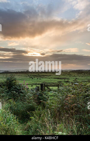 Marwood, Teesdale, County Durham, UK. 6. September 2017. UK Wetter. Am frühen Morgen regen gaben zu den sonnigen Perioden wie die Wolken begannen, im Norden von England an diesem Morgen brechen. Quelle: David Forster/Alamy leben Nachrichten Stockfoto