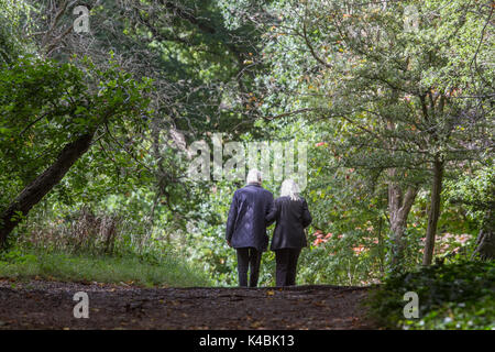 London, Großbritannien. 6. Sep 2017. Ein paar Spaziergänge in den Wäldern von Wimbledon Common auf einen angenehmen Herbst Tag Credit: Amer ghazzal/Alamy leben Nachrichten Stockfoto