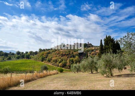 Castelnuovo dell'Abate von der Abtei von Sant'Antimo in der Nähe von Montalcino, Toskana Italien Europa EU Stockfoto