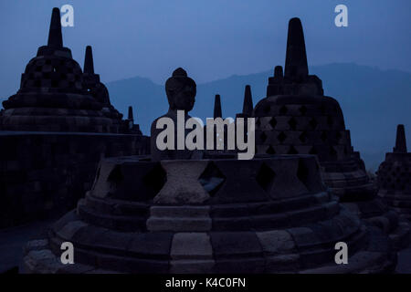 Buddha Statue am borobudor Tempel in Java, Indonesien. Stockfoto