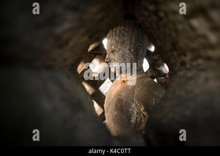 Buddha Statue am borobudor Tempel in Java, Indonesien. Stockfoto