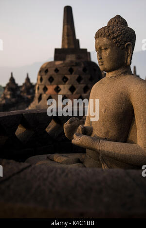 Buddha Statue am borobudor Tempel in Java, Indonesien. Stockfoto