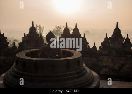 Buddha Statue am borobudor Tempel in Java, Indonesien. Stockfoto