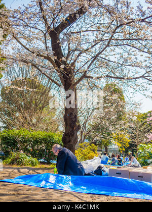 Tokyo, Japan - 24. August 2017: Menschenmenge genießen die Kirschblüten Festival in Ueno Park Stockfoto
