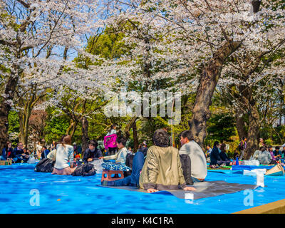 Tokyo, Japan - 24. August 2017: Menschenmenge genießen die Kirschblüten Festival in Ueno Park Stockfoto