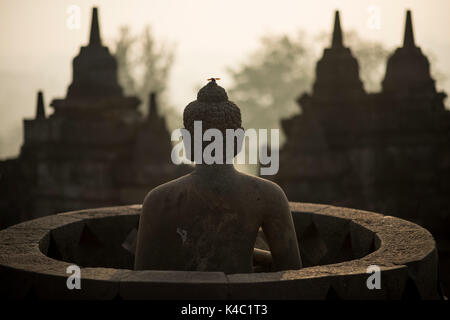 Buddha Statue am borobudor Tempel in Java, Indonesien. Stockfoto