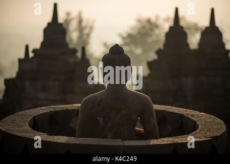 Buddha Statue am borobudor Tempel in Java, Indonesien. Stockfoto