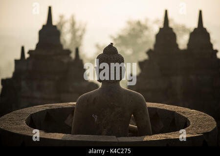Buddha Statue am borobudor Tempel in Java, Indonesien. Stockfoto