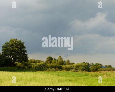 Ampermoss, River Valley Fen in der Nähe Ammersee in Oberbayern Stockfoto
