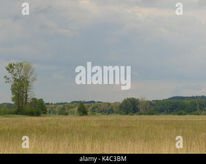 Ampermoss, River Valley Fen in der Nähe Ammersee in Oberbayern Stockfoto