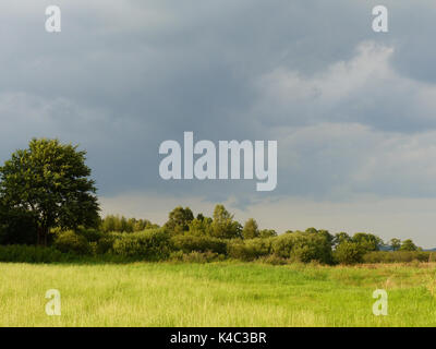 Ampermoss, River Valley Fen in der Nähe Ammersee in Oberbayern Stockfoto
