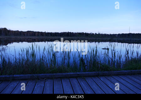 Schwenninger Moos auf die Blaue Stunde, Im Moor See gibt es die Quelle des Neckar. Stockfoto