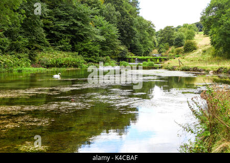Staudämmen am Fluss Dove Lathkill Dale Derbyshire Peak District National Park England Vereinigtes Königreich Großbritannien Stockfoto