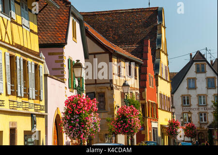 Rouffach, malerisches Dorf, Elsass, Schöne Route der Rebsorten, Elsass, Frankreich Stockfoto