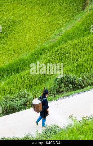 SA PA, VIETNAM - AUGUST 2017: Hmong Frau unter Reisfelder in Cat Cat villagge, Sa Pa, die hohen Berge, Lao Cai Provinz, Vietnam Stockfoto