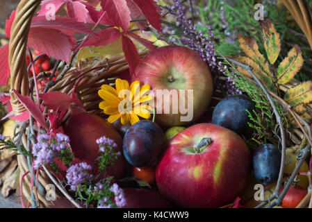 Herbst Früchte, Blumen und Blätter in den Warenkorb still life closeup Stockfoto