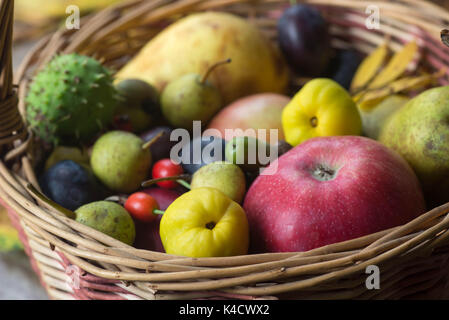 Herbst bunte Früchte im Korb noch Leben Stockfoto