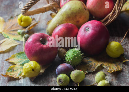 Herbst bunte Früchte auf dem Tisch noch Leben Stockfoto