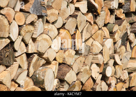 Frisch Split und gestapelt Blauholz (Brennholz) Hauptsächlich Hartholz. Erneuerbare Energieträger. 42 Bilder fotografiert aus einer Reihe von Abständen und Winkeln. Stockfoto