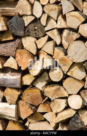 Frisch Split und gestapelt Blauholz (Brennholz) Hauptsächlich Hartholz. Erneuerbare Energieträger. 42 Bilder fotografiert aus einer Reihe von Abständen und Winkeln. Stockfoto