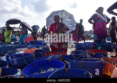 Mumbai, Indien. 5. September 2017. Koli Angeln Gemeinschaft Mann und Frauen an versova Fischmarkt in Mumbai. Stockfoto