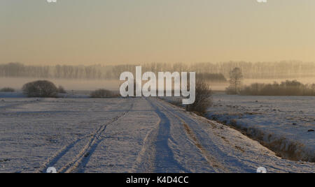 Winterlandschaft in Ampermoss, River Valley Fen in der Nähe Ammersee in Oberbayern Stockfoto