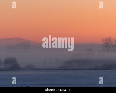 Sonnenaufgang in Ampermoss, River Valley Fen in der Nähe Ammersee in Oberbayern Stockfoto