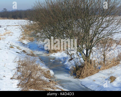 Ampermoss, River Valley Fen in der Nähe Ammersee in Oberbayern Stockfoto