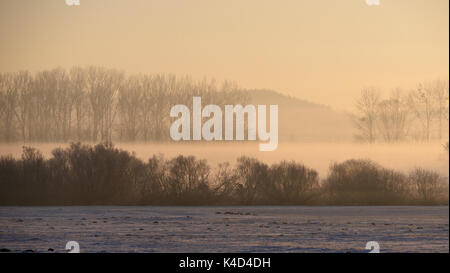 Am frühen Morgen in Ampermoss, River Valley Fen in der Nähe Ammersee in Oberbayern Stockfoto