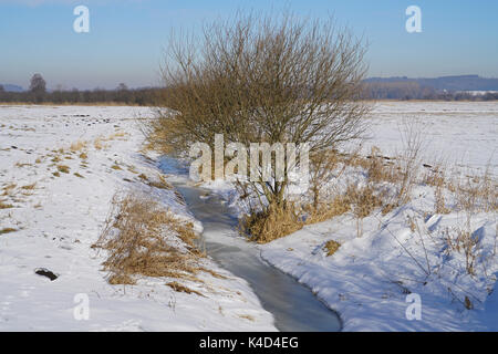 Ampermoss, River Valley Fen in der Nähe Ammersee in Oberbayern Stockfoto