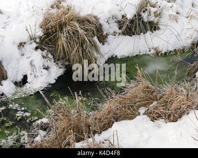Winter in Ampermoss, River Valley Fen in der Nähe Ammersee in Oberbayern Stockfoto