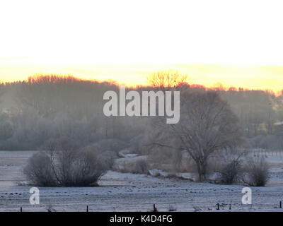 Winterlandschaft in Ampermoss, River Valley Fen in der Nähe Ammersee in Oberbayern Stockfoto