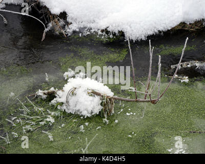 Winter in Ampermoss, River Valley Fen in der Nähe Ammersee in Oberbayern Stockfoto
