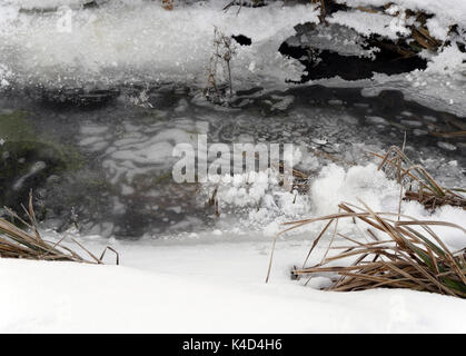 Winter in Ampermoss, River Valley Fen in der Nähe Ammersee in Oberbayern Stockfoto