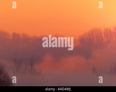Sonnenaufgang in Ampermoss, River Valley Fen in der Nähe Ammersee in Oberbayern Stockfoto