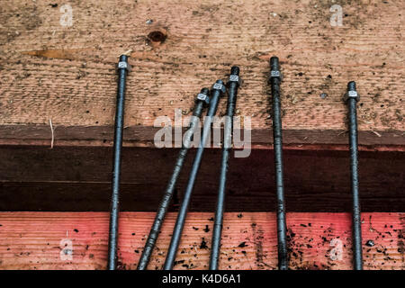 Neue Schrauben und Muttern zur Befestigung Holz- squared Anmelden Stockfoto