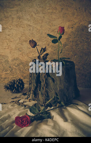 Noch immer leben metaphorische Rosen am Valentinstag. Stockfoto