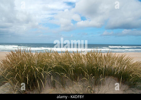 Costa Nova Strand. Aveiro, Portugal Stockfoto