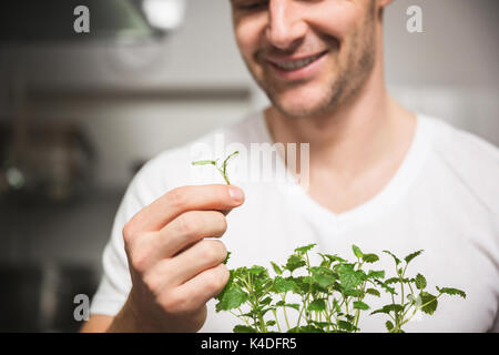 7/8-Portrait von Happy Chef holding Stück Zitronenmelisse Stockfoto