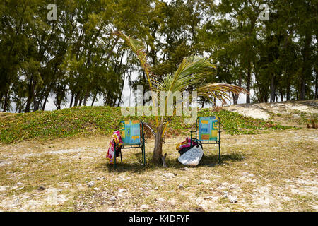 Zwei Klappbare Stühle im Schatten einer kleinen Palme Stockfoto