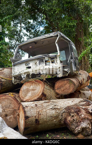 Verschrottete LKW-Fahrgestelle auf dicken Holzstämmen Stockfoto