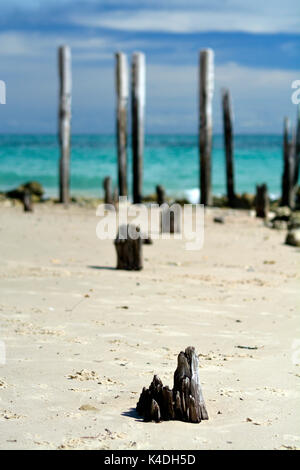 Port Willunga Jetty verwitterten Pylone Edens Hills South Australia Stockfoto