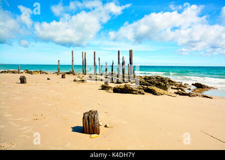 Port Willunga Jetty verwitterten Pylone Edens Hills South Australia Stockfoto