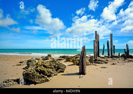 Port Willunga Jetty verwitterten Pylone Edens Hills South Australia Stockfoto