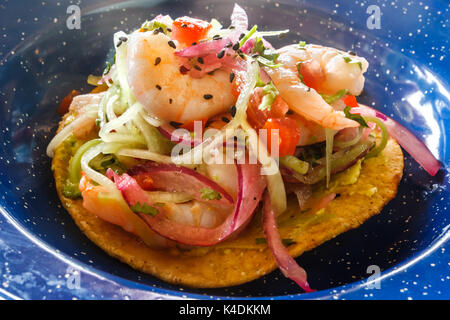 Taco mit Fisch und Garnelen, Puerto Morelos, Quintana Roo, Mexiko. Stockfoto